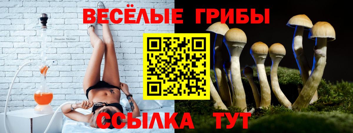 Выборг  Галлюциногенные грибы ЛСД  Вход с VPN 