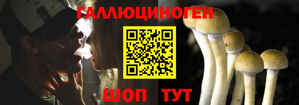Псилоцибиновые грибы Magic Shrooms Выборг